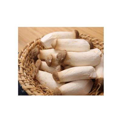 China Finest Fresh and Delicious Price Factory Directly Supply 100%nature Fresh King Oyster Mushroom for sale