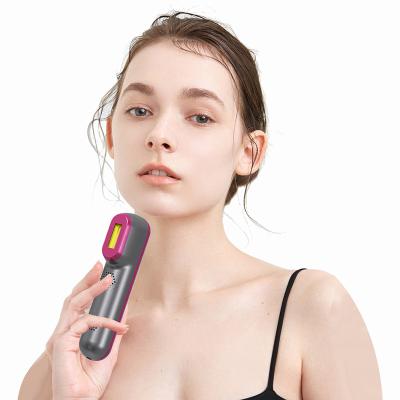 China Mini Cute Hair Removal Small IPL Home Hair Removal Machine IPL Quartz Lamp Epilator Hair Removal Device for sale