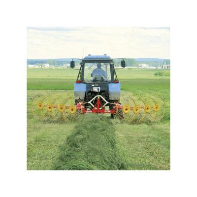 China Farms Good Quality Hot Sales Hay Rake With Competitive Price for sale