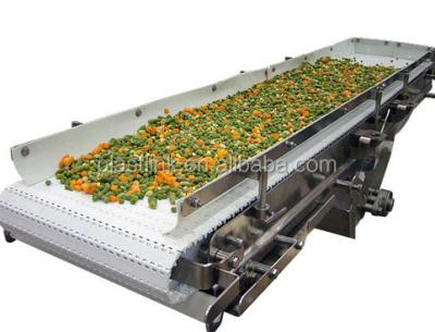 China Heat Resistant Plast Link Mobile Fruit And Vegetable Washing Conveyor for sale