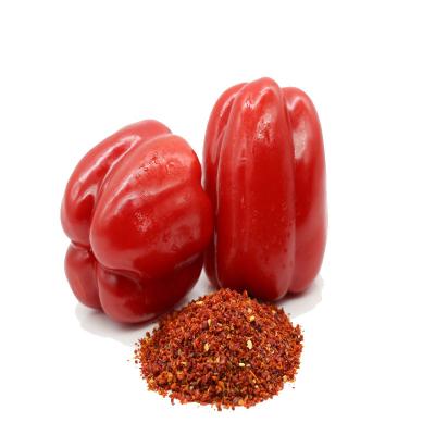 China Hot Selling IQF Dry Sweet Pepper Frozen Dried Cut Sweet Red Pepper for sale