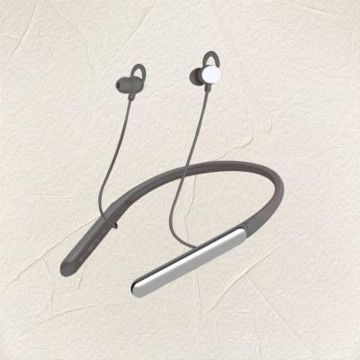 China Programmable Bluetooth Rechargeable Otc Hearing Aids IOS Android  Ear Buds For Hearing Impaired for sale