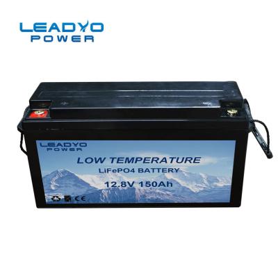 Cina Litio Ion Battery High Capacity 24V 100Ah di bassa temperatura del freddo in vendita