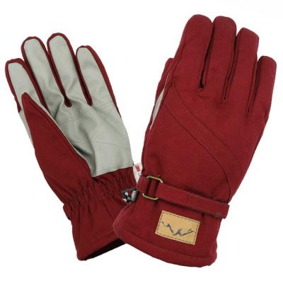 China Waterproof Durable Work Glove Cotton Canvas Warm Insulated Protective Gloves for Gardening and Other Work for sale