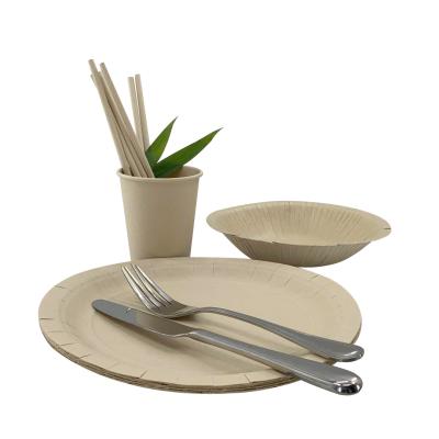 China Custom Printed Bamboo Eco Friendly Disposable Bulk Paper Plates Cups Sets for sale