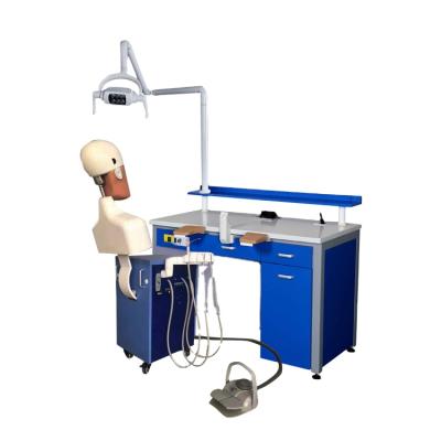 China Easy Cleaned And Easy Disinfected Charater Medical Supplies Equipments Medical Training Manikin for sale