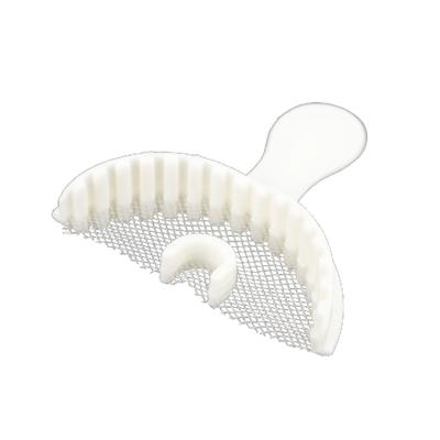 China Dental Regional Mesh Impression Tray Dental Bite Registration Trays Disposable Impression Consumables for sale