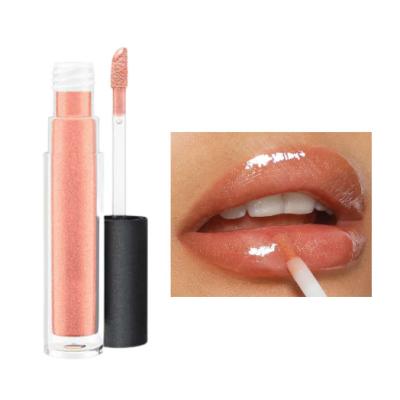 China Private Label Waterproof Natural Non Sticky Long Lasting Lip Gloss Lip Finish Hydrating Makeup for sale