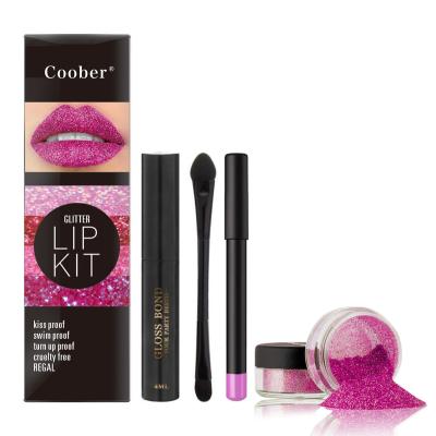 China Waterproof Free Samples Glitter Lasting Makeup Lipstick Set Glitter Lip Gloss Primer Bond Lip Kit Vendor for sale