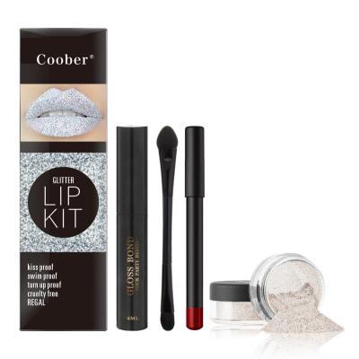 China Waterproof Lip Primer Waterproof Lip Liner Free Sample Glitter Holographic Lip Kit Private Label for sale