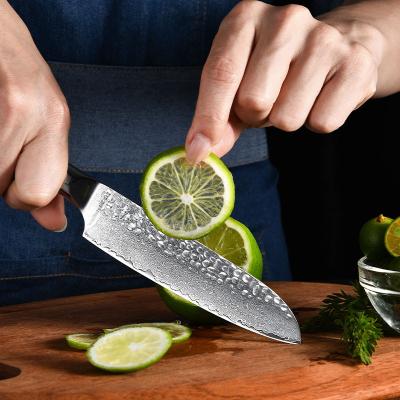 China Sustainable Wholesale High End Professionals Pakistan VG10 Damascus Chef Knife Set for sale