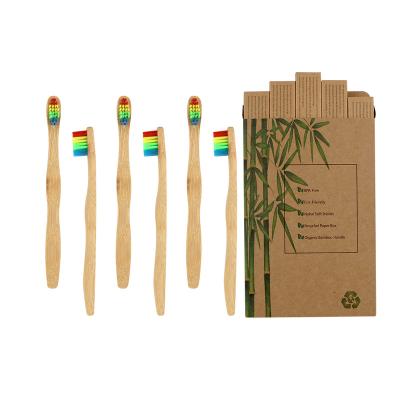 China Biodegradable Eco Friendly Biodegradable Vegan Bamboo Toothbrush And Zero Waste Package With Customized Case for sale