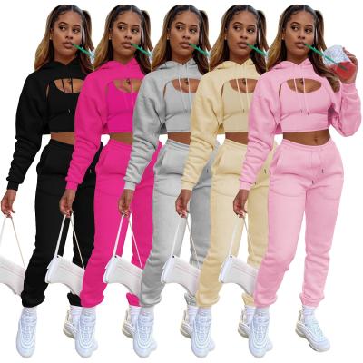 China Wholesale Custom Women's Sweat Suits Velvet Breathable Tracksuit Sets Two Piece Long Sleeve Crop Hoodie Top Set for sale