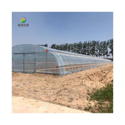 China Cheapest Plastic Tunnel Greenhouse Autopot System Greenhouse Supplies Polythene Agricultural Greenhouse Hidroponic Kit Tunnel Greenhouse for sale