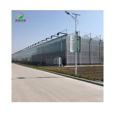 China Commercial Vegetable Agriculture Flower Fruit System Hydroponic Multi-span Vertical Agricultural Glass Greenhouse for sale