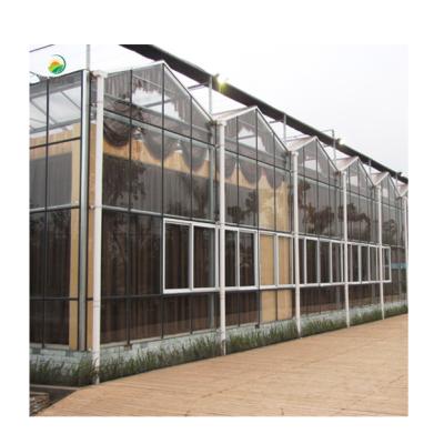 China Flowers Vegetable Multi-span Fruit Growing Glass Greenhouse With Indoor Greenhouse Net Plastic Greenhouse Hydroponic Growing Systems for sale