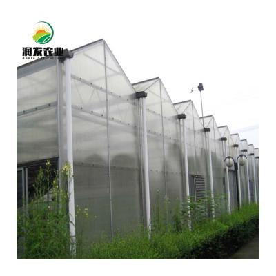 China PC Vegetable Agricultural Greenhouses Multi-span Low Cost Flowers Fruits Hydroponic Greenhouse for Vegetable and Flower for sale