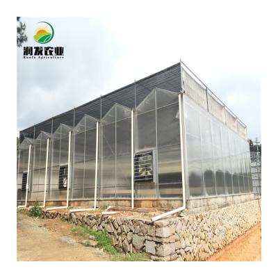 China Indoor Greenhouse Plastic Greenhouse Prices Multi-span Vertical Hidroponia Flowers Fruits Smart Dwc Farm System for sale