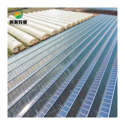 China Vegetable Multi-span Fruit Flowers Automatic Irrigation&hydroponics System PC Agricultural Greenhouse With Photovoltaic Panel for sale