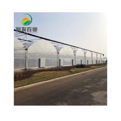 China Multi-span Commercial High Tunnel Greenhouse Film Greenhouse Intelligent Control Of Vegetables Cultivation Etc. for sale