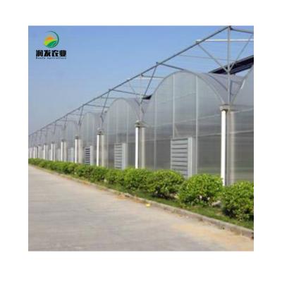 China Stable Structure 24 m*48 m Multi-span Film Greenhouse For Growing Vegetables for sale