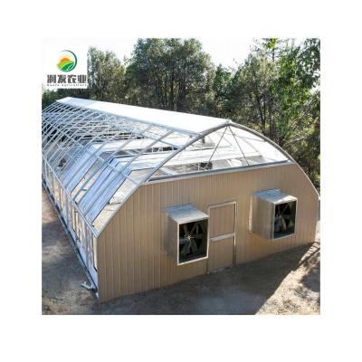 China Standard Automatic Greenhouse Dep Greenhouse Light Deprivation Of Vegetables Cultivation Blackout Light Etc. for sale