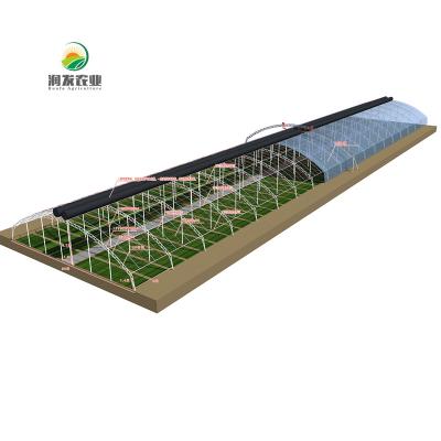 China Stable Structure Manufacturer Shed Greenhouse Modern Farm Equipment Hydroponic Greenhouse for sale