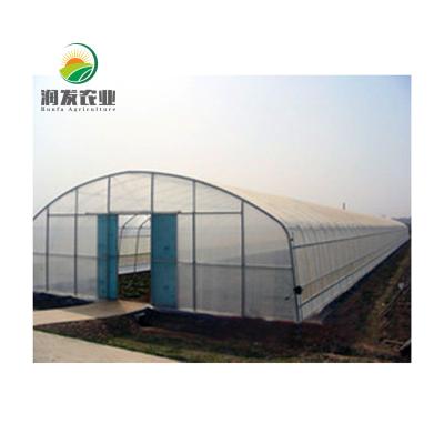 China Vegetables from other cultivation greenhouses etc. Tunnel Green House Greenhouse Agriculture Film Single Span Greenhouse for sale