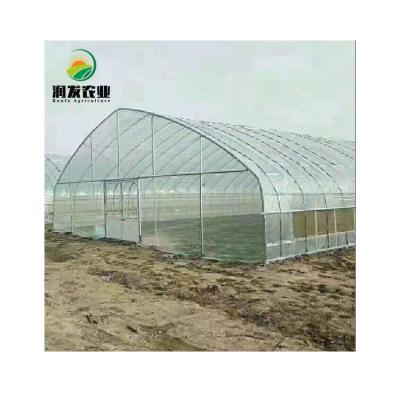 China Agricultural Vegetable Cultivation Etc Film Greenhouse Single Span Plastic Sheet Greenhouse Kenya for sale