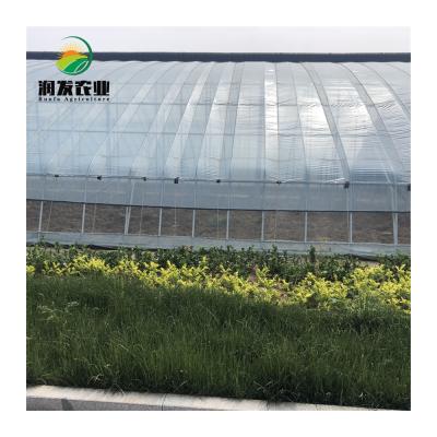 China Vegetable Growing Design Professional Winter Warm Solar Greenhouse For Sale for sale