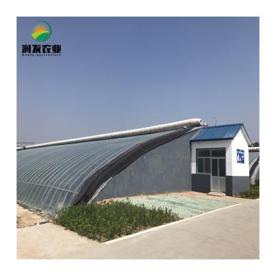 China Large Excellent Vegetable Growing Quality Winter Warm Solar Greenhouse With Microgreen Vertical Agricultural Growing System for sale