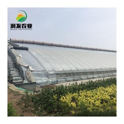 China Hot Sale Commercial Vegetable Growing Winter Warm Solar Greenhouse With Automatic Irrigation System for sale