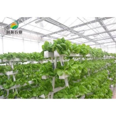 China Farms Farming System Greenhouse Hydroponics System Greenhouses For Tomato for sale