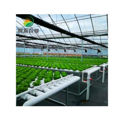 China Nft Easy Growing Vertical Hydroponics System Aquaponics System For Sale for sale