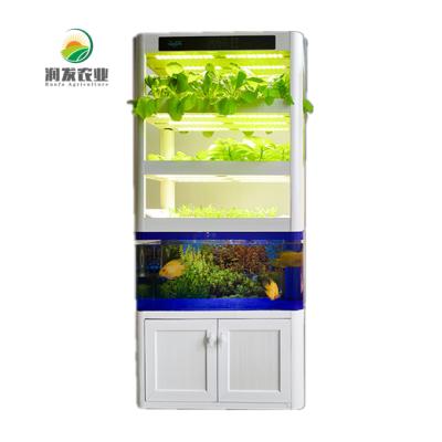 China Easy Growing Indoor Vegetable Hydroponic Growing System For Sale for sale