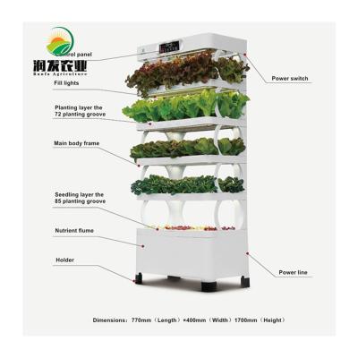 China Easy Set Up Indoor Lettuce And Strawberry Planting System Hydroponic Growing Machine for sale