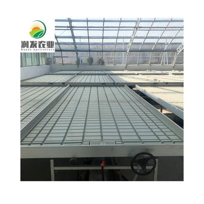 China Hydroponic Seedlings Flood Tables Fruit Vegetable Flowers and Ebb and Flow Trays for sale