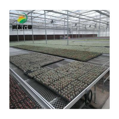 China Flood Tables Hydroponic Seedlings Flood Tables Vegetable Low Cost Flowers And Easy Setup And Ebb And Flow Trays for sale