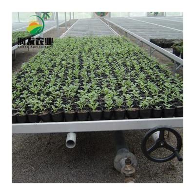 China High Quality Vegetable Flowers Fruits Hot Dip Galvanized Flood Tables and Ebb and Flow Trays Hydroponic Seeding for sale