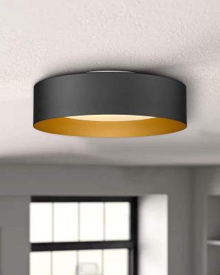 China Surface Mounted Flush Mount Ceiling Light, 14