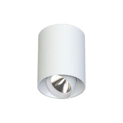 China New Arrival Modern White Durable Villa Lobby Ceiling Lights Roof Downlights for sale