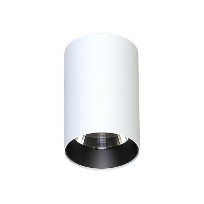 China Modern Outdoor Moaning Cylindrical Downlights IP44 IP65 Top Quality Cylindrical Ceiling for sale