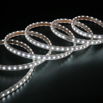 China Residential High Brightness Led Strip Lights SMD5050 8W IP65 230V RGB Led Strip Lights Smart for sale