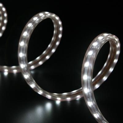 China Residential Led Flexible Strip Light Led Strip Lights SMD5050 60P 8W IP65 230V RGB Led Strip Lights Smart for sale