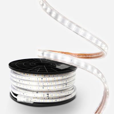 China Residential Cuttable PVC Strip Light High Voltage Series Led Strip Lights RGB Dream Smart Strip Light for sale