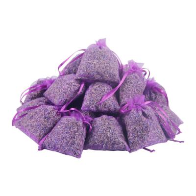 China Best Selling Country Lavender Seeds on Amazon Lavender Sachets with Lavender Misfires Scent Lavender Scent Lavender Sachet for sale