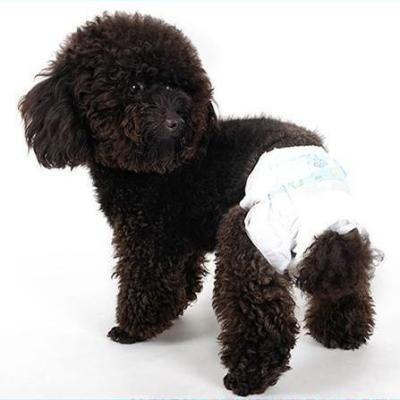 China Amazon Sustainable Hot Selling Reusable Dog Diapers / Diapers For Pet Cleaning for sale