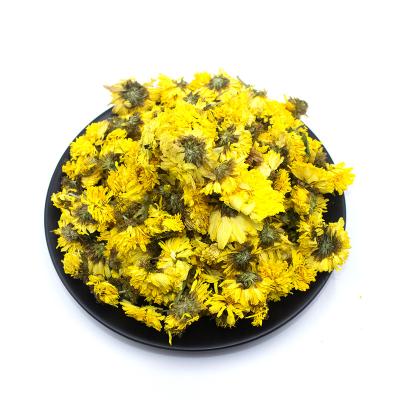 China Good Quality Healthy Chinese Health Food Benefits Gansu Guocao Herbs Dry Chrysanthemum Flower for sale