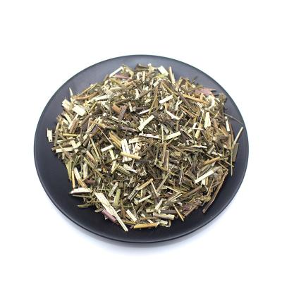 China Wholesale Health Food Plants Are Popular Bulk Dried Chinese Herbs Schizonepeta for sale