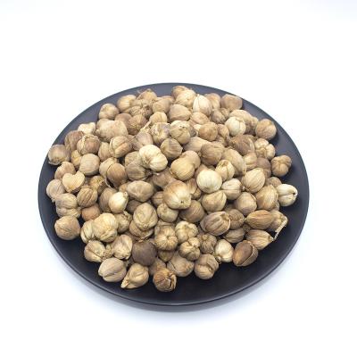 China China Herbal Medicine White Cardamom Wholesale Health Food Factory Price White Cardamom for sale